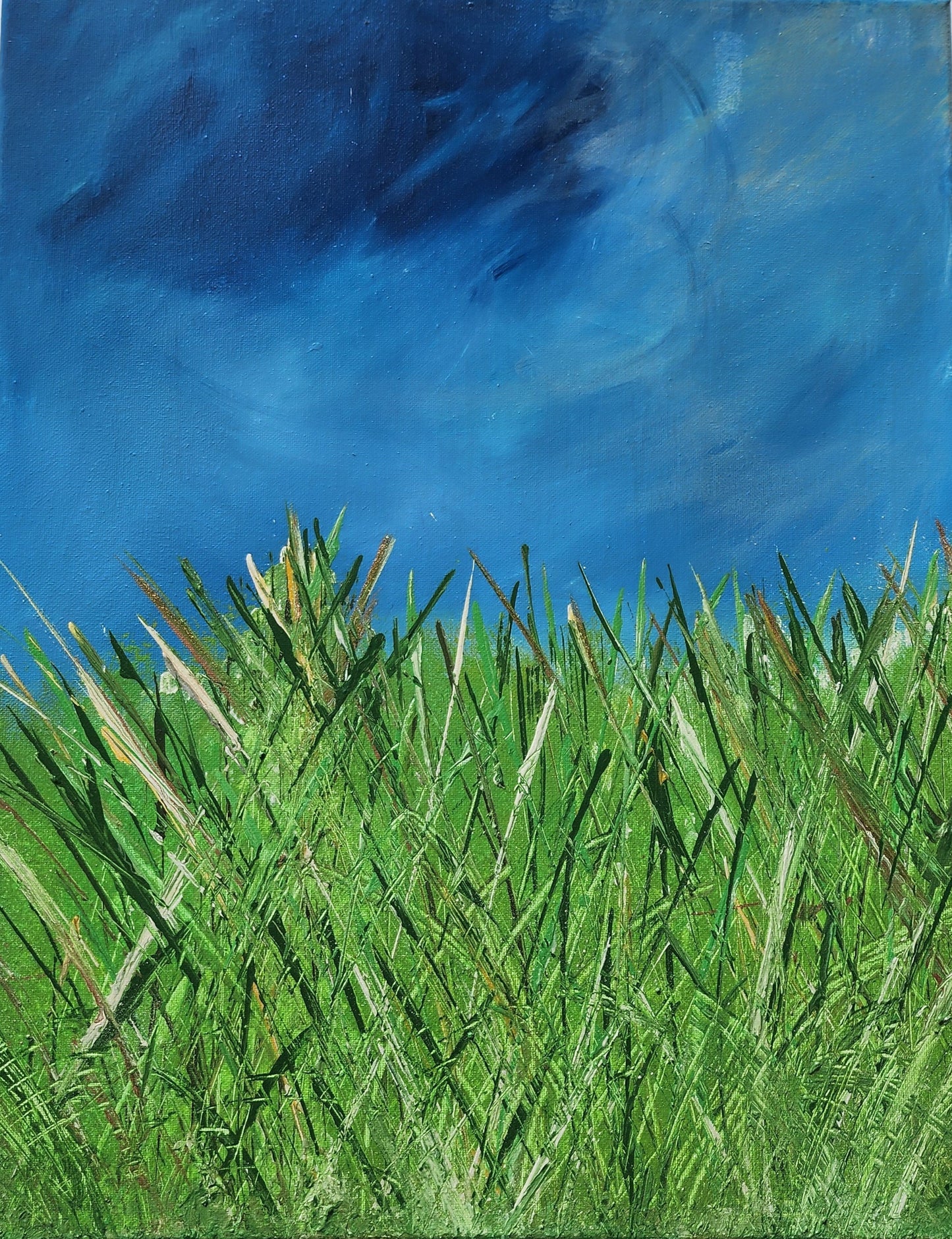 Pasture